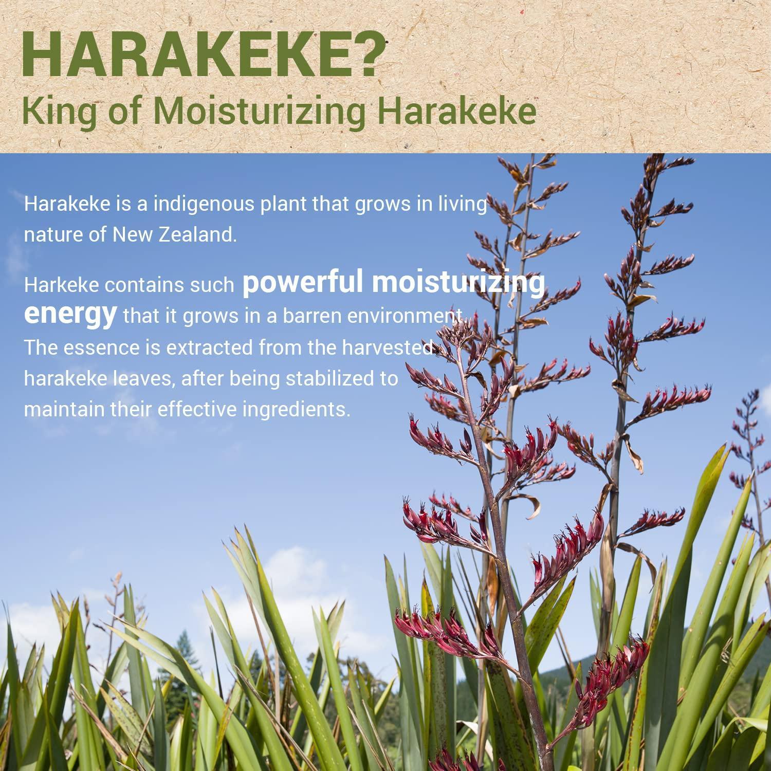 [theSAEM] Urban Eco Harakeke Fresh Cream 50ml